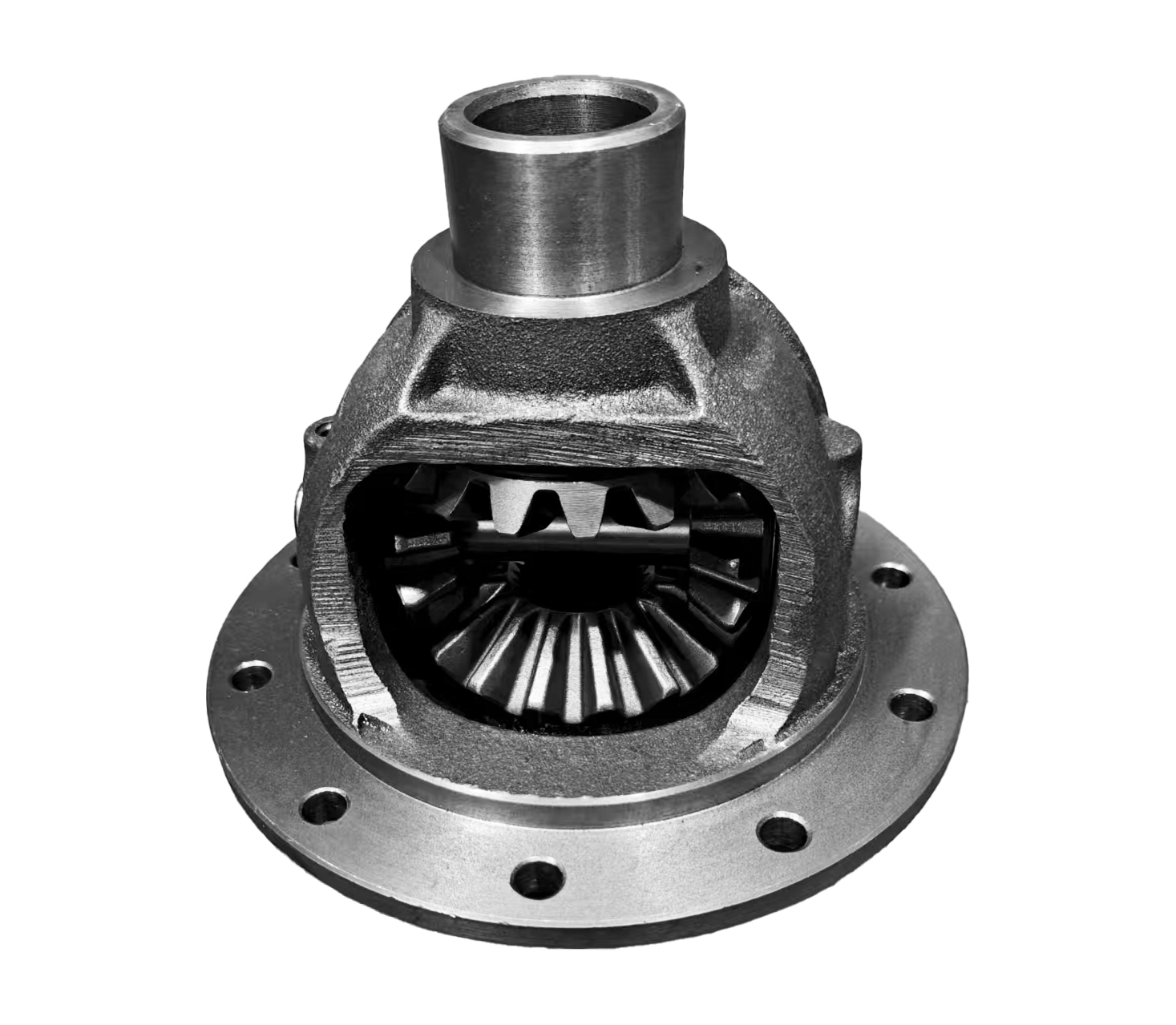 Differential Case Dana D21